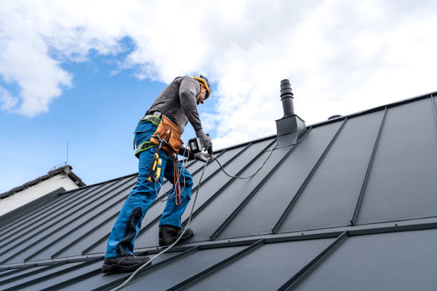 Best Roof Moss and Algae Removal  in Englewood, OH